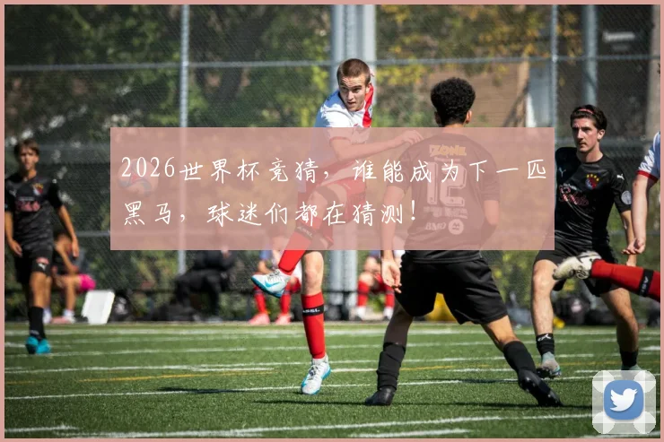 2026世界杯竞猜，谁能成为下一匹黑马，球迷们都在猜测！
