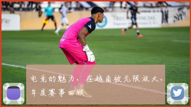 电竞的魅力,在越南被无限放大,年度赛事回顾