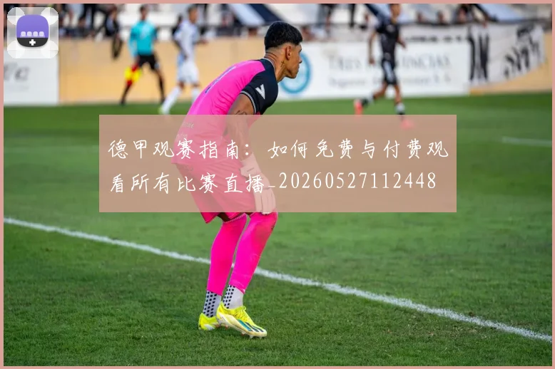 德甲观赛指南：如何免费与付费观看所有比赛直播_20260527112448