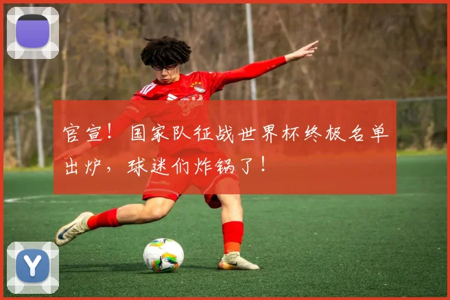 官宣！国家队征战世界杯终极名单出炉，球迷们炸锅了！