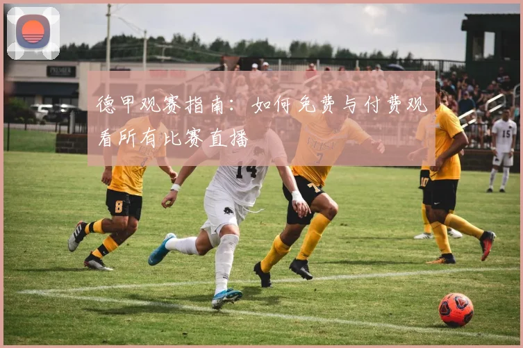 德甲观赛指南：如何免费与付费观看所有比赛直播